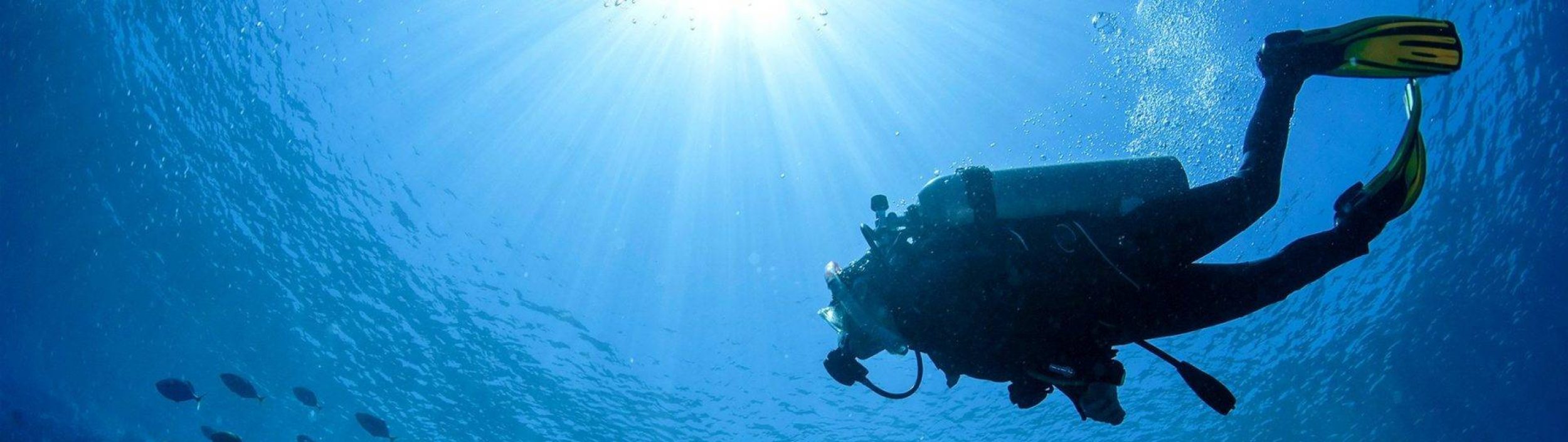 Scuba Dude