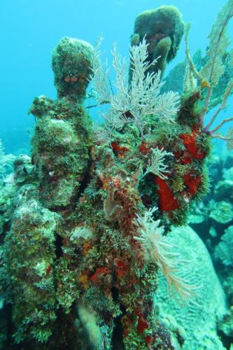 Dive-4-20230308-25