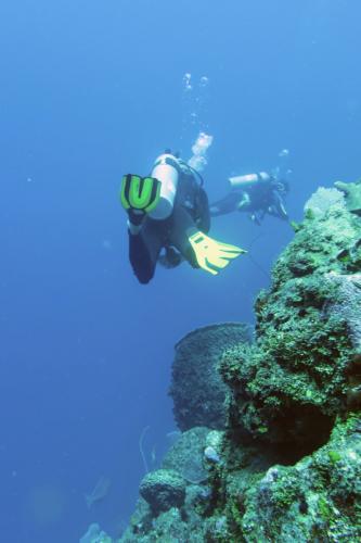 Dive-1-20230310-20