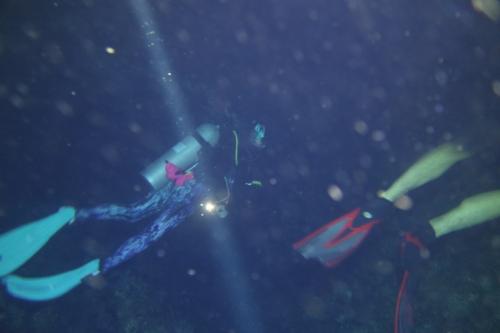Dive-3-20230302-3
