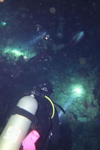 Dive-3-20230302-5
