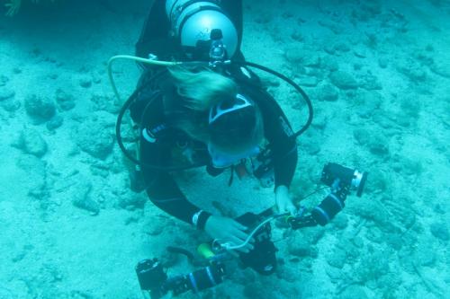 Dive-5-20230310-24