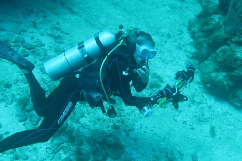 Dive-5-20230310-26