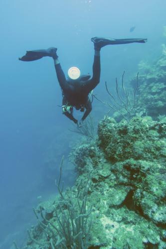 Dive-5-20230310-5