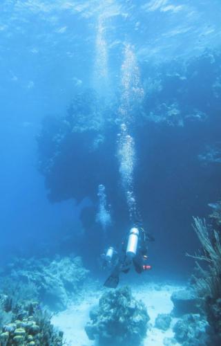 Dive-8-20230331-12
