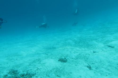 Dive-8-20230331-29