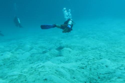 Dive-8-20230331-30