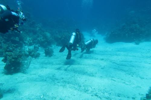 Dive-8-20230331-8