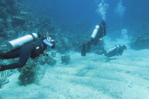 Dive-8-20230331-9