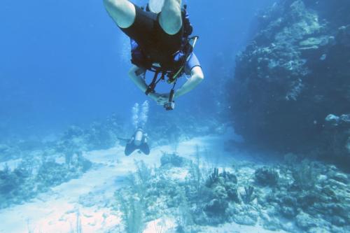IMG 0825