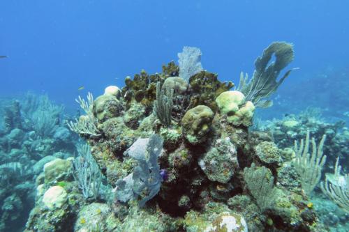 IMG 08862