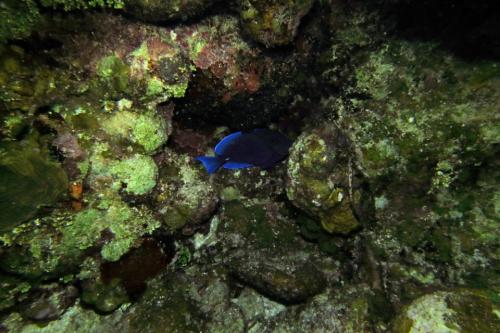 IMG 09452
