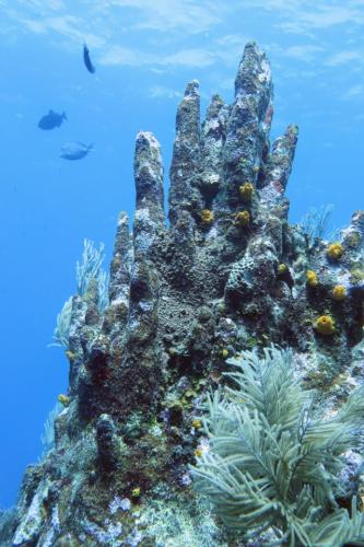 IMG 09762