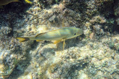 IMG 09852
